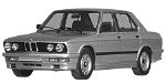 BMW E28 P0B6E Fault Code